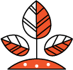 icon3